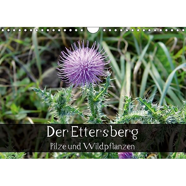 Der Ettersberg - Pilze und Wildpflanzen (Wandkalender 2018 DIN A4 quer), Jan Schachtschabel