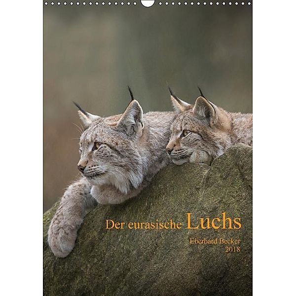 Der eurasische Luchs (Wandkalender 2018 DIN A3 hoch), Eberhard Becker