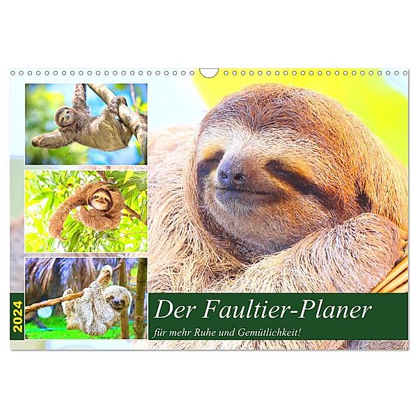 Der Faultier-Planer für mehr Ruhe und Gemütlichkeit! (Wandkalender 2024 DIN A3 quer), CALVENDO Monatskalender, Rose Hurley