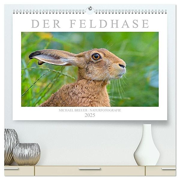 Der Feldhase (hochwertiger Premium Wandkalender 2025 DIN A2 quer), Kunstdruck in Hochglanz, Calvendo, Michael Breuer
