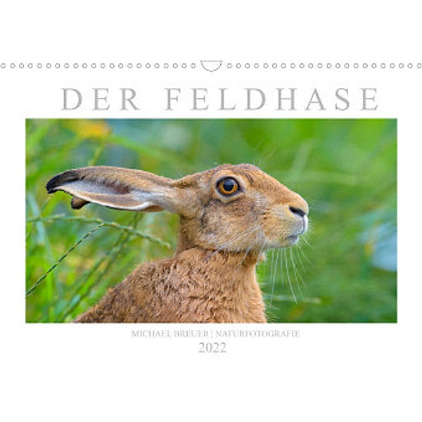 Der Feldhase (Wandkalender 2022 DIN A3 quer), Michael Breuer