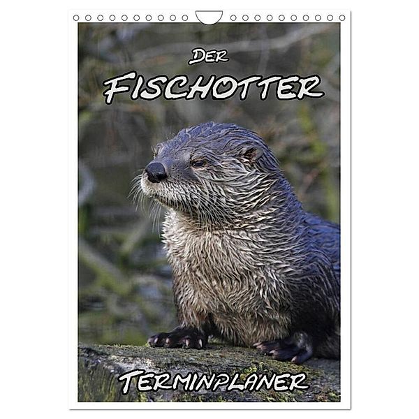 Der Fischotter-Terminplaner (Wandkalender 2024 DIN A4 hoch), CALVENDO Monatskalender, Antje Lindert-Rottke