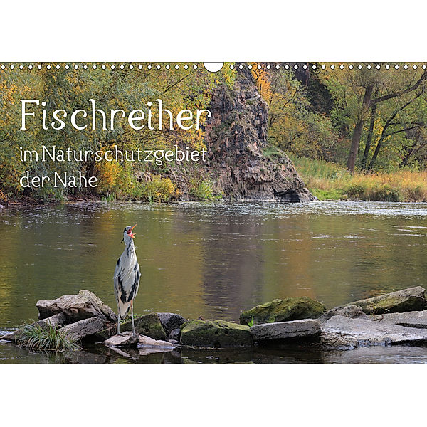 Der Fischreiher im Naturschutzgebiet der Nahe (Wandkalender 2020 DIN A3 quer), Raimund Sauer