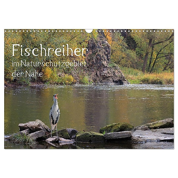 Der Fischreiher im Naturschutzgebiet der Nahe (Wandkalender 2024 DIN A3 quer), CALVENDO Monatskalender, Raimund Sauer / raimondo / www.raimondophoto.net