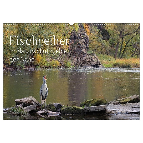 Der Fischreiher im Naturschutzgebiet der Nahe (Wandkalender 2024 DIN A2 quer), CALVENDO Monatskalender, Raimund Sauer / raimondo / www.raimondophoto.net
