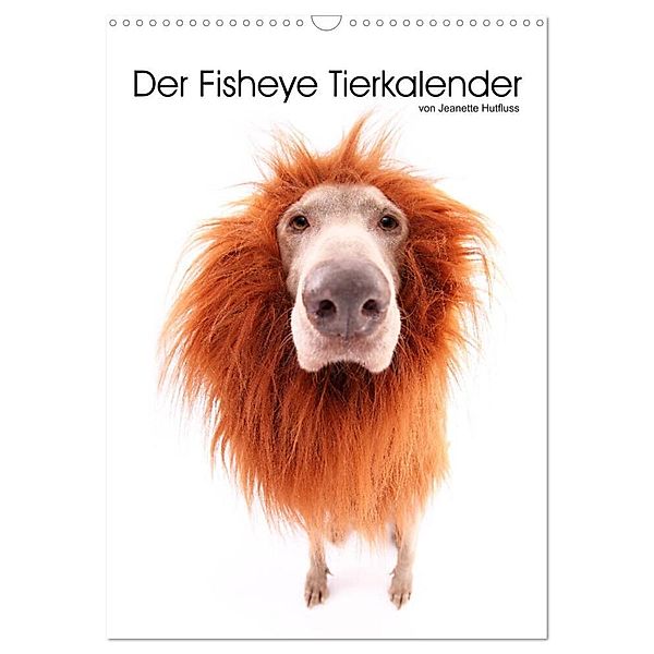 Der Fisheye Tiere Kalender (Wandkalender 2024 DIN A3 hoch), CALVENDO Monatskalender, Jeanette Hutfluss