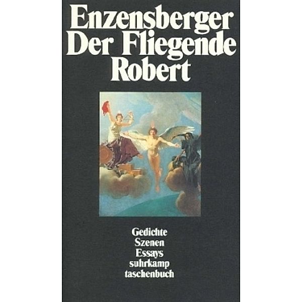Der Fliegende Robert, Hans Magnus Enzensberger