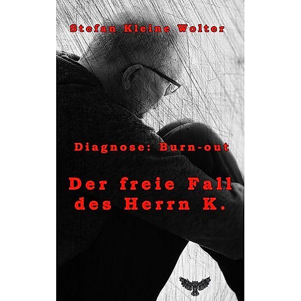 Der freie Fall des Herrn K., Stefan Kleine Wolter