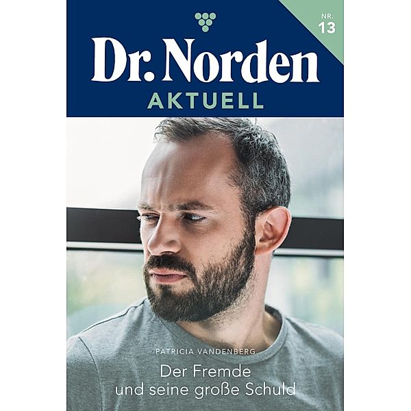 Der Fremde und seine große Schuld / Dr. Norden Aktuell Bd.13, Patricia Vandenberg