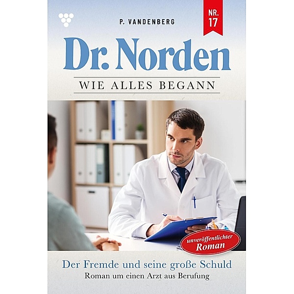 Der Fremde und seine große Schuld / Dr. Norden - Die Anfänge Bd.17, Patricia Vandenberg