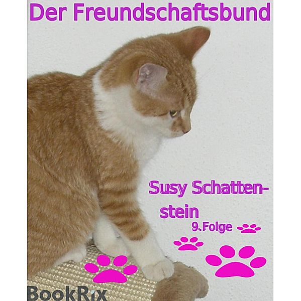 Der Freundschaftsbund, Susy Schattenstein