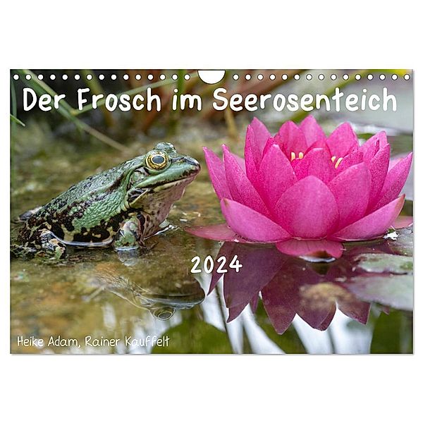 Der Frosch im Seerosenteich (Wandkalender 2024 DIN A4 quer), CALVENDO Monatskalender, Rainer Kauffelt, Heike Adam