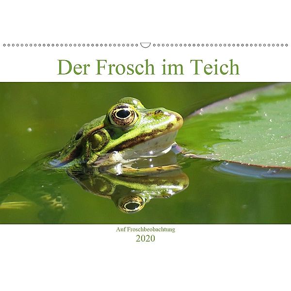 Der Frosch im Teich - auf Froschbeobachtung (Wandkalender 2020 DIN A2 quer), Claudia Schimmack