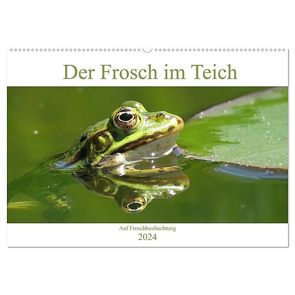 Der Frosch im Teich - auf Froschbeobachtung (Wandkalender 2024 DIN A2 quer), CALVENDO Monatskalender, Claudia Schimmack