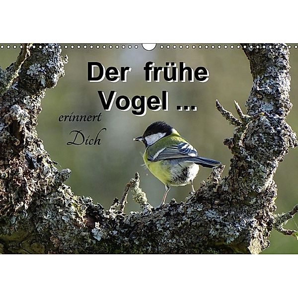 Der frühe Vogel ... erinnert Dich (Wandkalender 2018 DIN A3 quer), Flori0