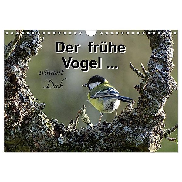 Der frühe Vogel ... erinnert Dich (Wandkalender 2024 DIN A4 quer), CALVENDO Monatskalender, Flori0
