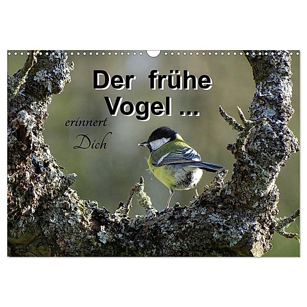 Der frühe Vogel ... erinnert Dich (Wandkalender 2024 DIN A3 quer), CALVENDO Monatskalender, Flori0