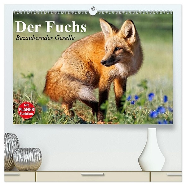 Der Fuchs. Bezaubernder Geselle (hochwertiger Premium Wandkalender 2024 DIN A2 quer), Kunstdruck in Hochglanz, Elisabeth Stanzer