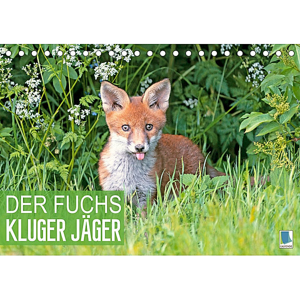 Der Fuchs: Kluger Jäger (Tischkalender 2023 DIN A5 quer), Calvendo