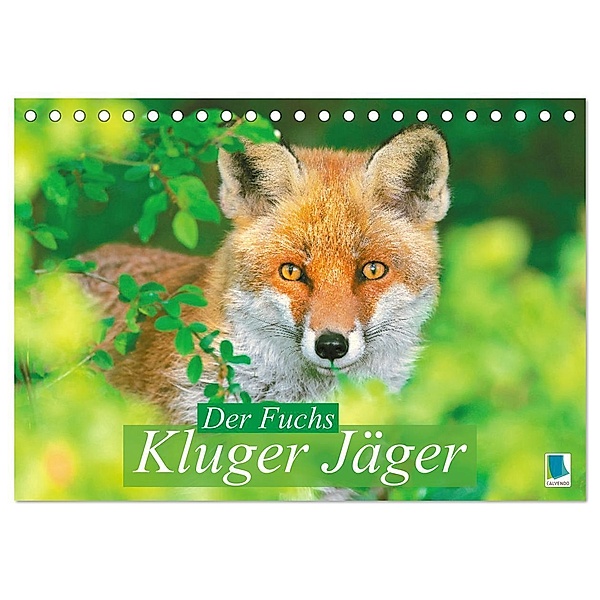 Der Fuchs: Kluger Jäger (Tischkalender 2025 DIN A5 quer), CALVENDO Monatskalender, Calvendo
