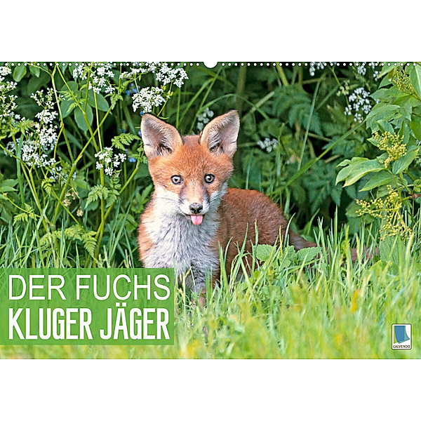 Der Fuchs: Kluger Jäger (Wandkalender 2023 DIN A2 quer), Calvendo