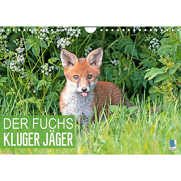 Der Fuchs: Kluger Jäger (Wandkalender 2023 DIN A4 quer), Calvendo