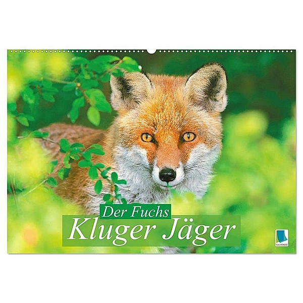 Der Fuchs: Kluger Jäger (Wandkalender 2025 DIN A2 quer), CALVENDO Monatskalender, Calvendo