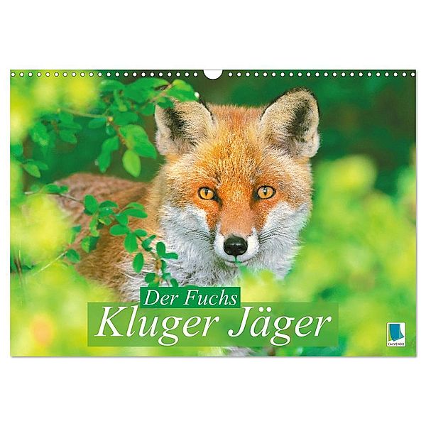 Der Fuchs: Kluger Jäger (Wandkalender 2025 DIN A3 quer), CALVENDO Monatskalender, Calvendo