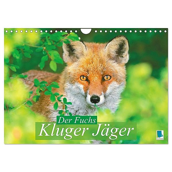 Der Fuchs: Kluger Jäger (Wandkalender 2025 DIN A4 quer), CALVENDO Monatskalender, Calvendo