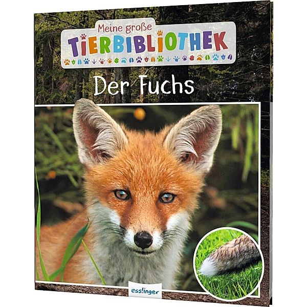 Der Fuchs / Meine große Tierbibliothek Bd.16, Christian Havard