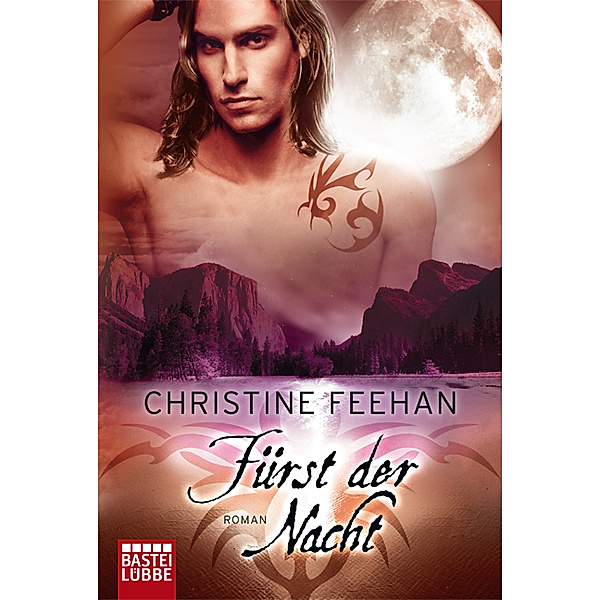 Der Fürst der Nacht / Dark Carpathians Bd.3, Christine Feehan