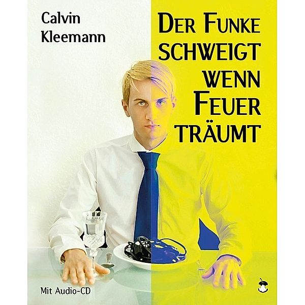 Der Funke schweigt, wenn Feuer träumt, m. 1 Audio-CD, Calvin Kleemann