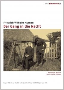 Image of Der Gang in die Nacht / Scherben