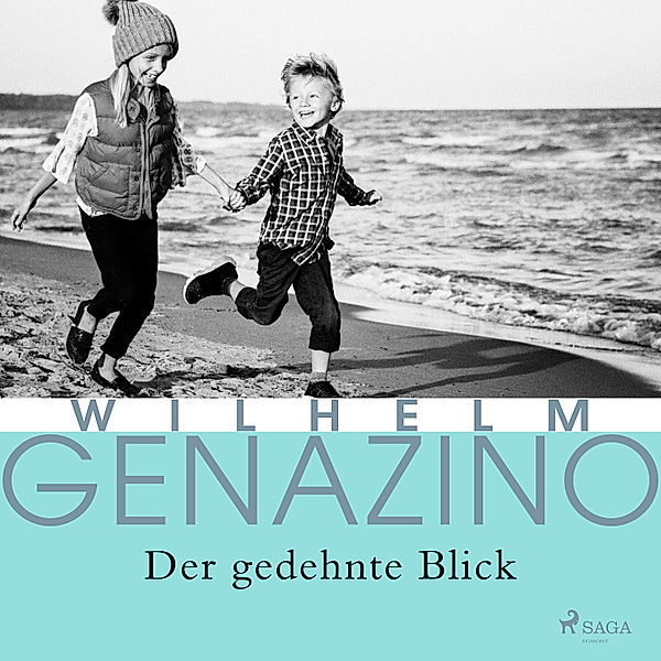 Der gedehnte Blick, Wilhelm Genazino