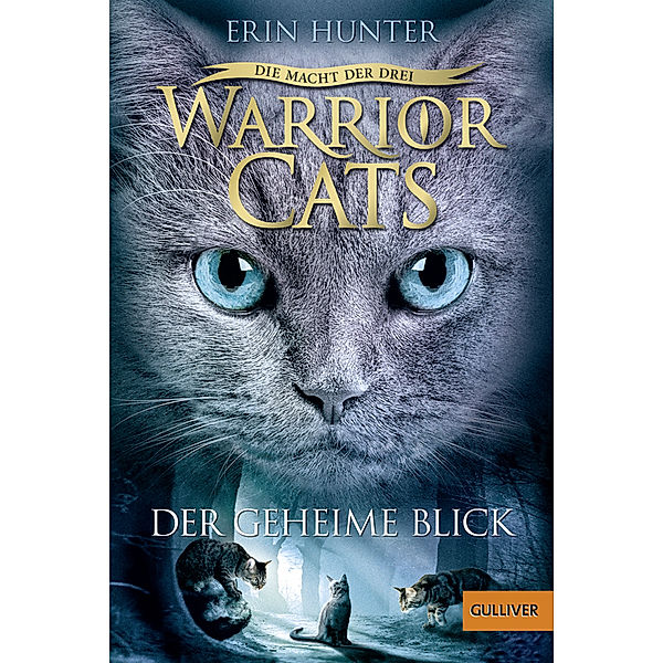 Der geheime Blick / Warrior Cats Staffel 3 Bd.1, Erin Hunter