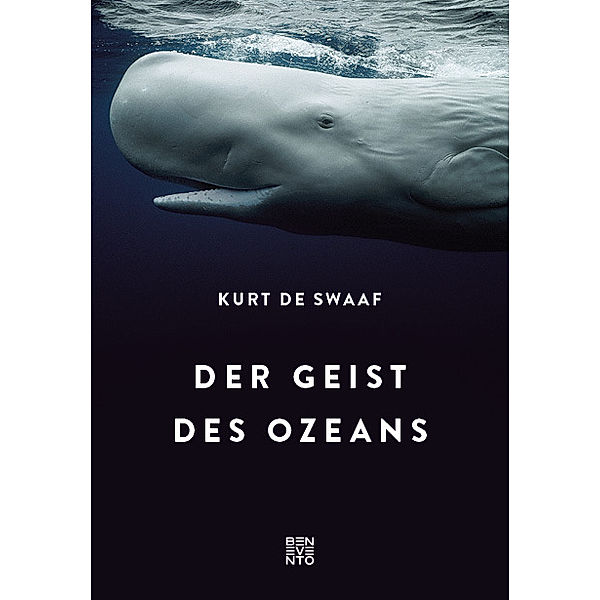 Der Geist des Ozeans, Kurt de Swaaf