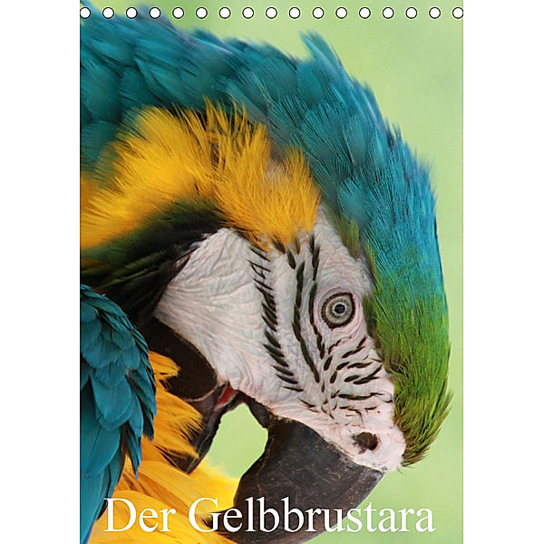 Der Gelbbrustara (Tischkalender 2019 DIN A5 hoch), N N