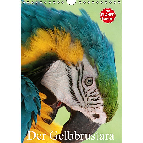 Der Gelbbrustara (Wandkalender 2019 DIN A4 hoch), Arno Klatt