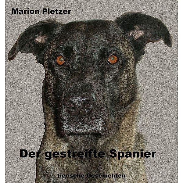 Der gestreifte Spanier, Marion Pletzer