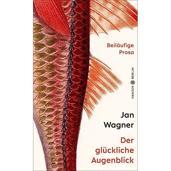 Der glückliche Augenblick, Jan Wagner