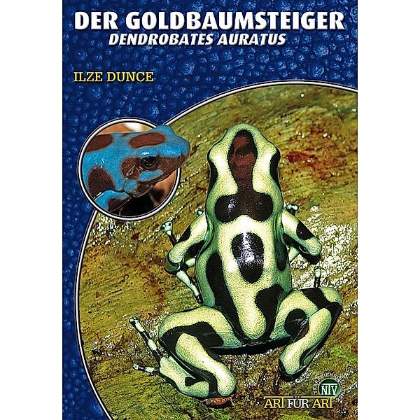 Der Goldbaumsteiger, Ilze Dunce