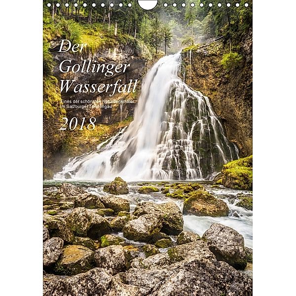 Der Gollinger Wasserfall (Wandkalender 2018 DIN A4 hoch), Thomas Reicher