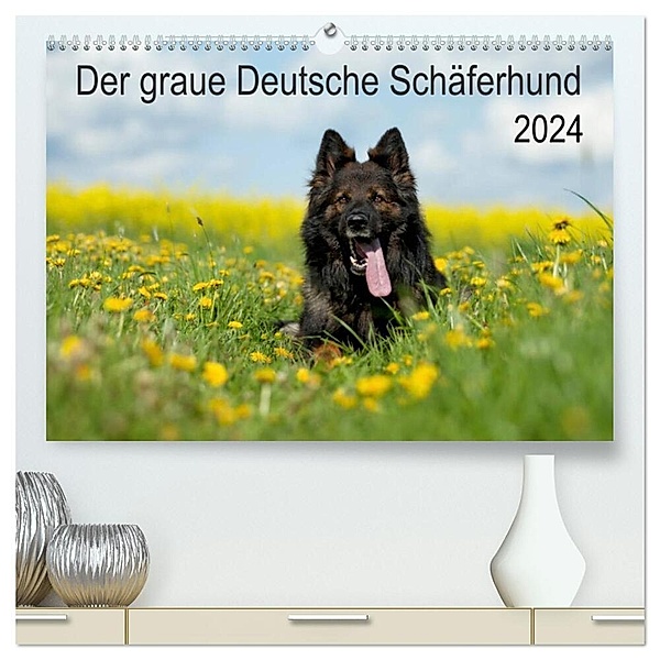 Der graue Deutsche Schäferhund (hochwertiger Premium Wandkalender 2024 DIN A2 quer), Kunstdruck in Hochglanz, Petra Schiller