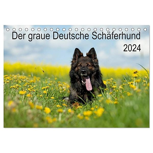 Der graue Deutsche Schäferhund (Tischkalender 2024 DIN A5 quer), CALVENDO Monatskalender, Petra Schiller