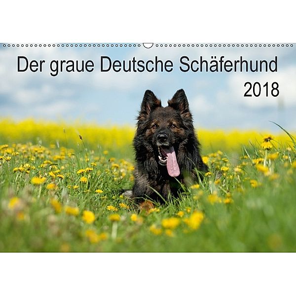 Der graue Deutsche Schäferhund (Wandkalender 2018 DIN A2 quer), Petra Schiller