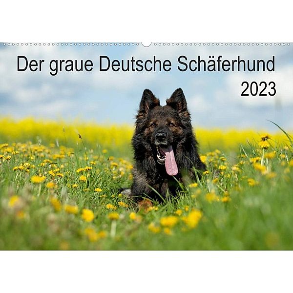 Der graue Deutsche Schäferhund (Wandkalender 2023 DIN A2 quer), Petra Schiller