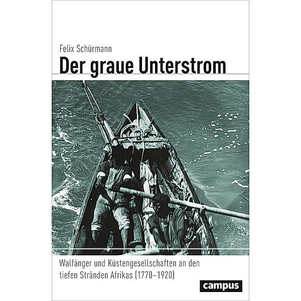 Der graue Unterstrom / Globalgeschichte Bd.25, Felix Schürmann