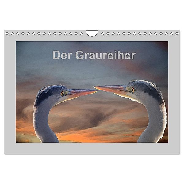 Der Graureiher (Wandkalender 2024 DIN A4 quer), CALVENDO Monatskalender, Rufotos