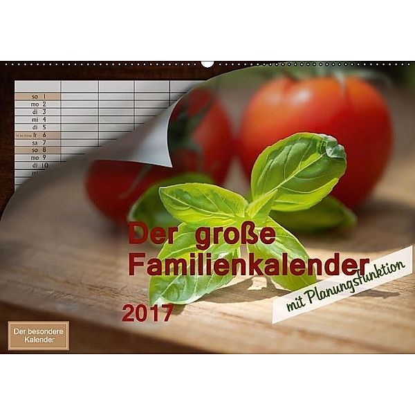 Der große Familienkalender (Wandkalender 2017 DIN A2 quer), Christiane Calmbacher