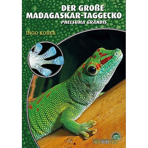 Der Grosse Madagaskar-Taggecko, Ingo Kober
